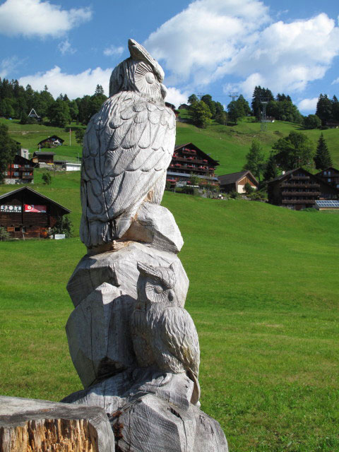 Braunwald