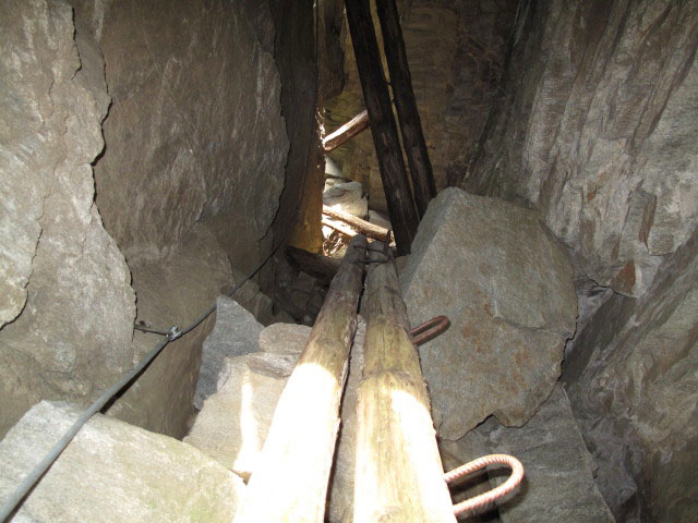 Baumstammleitern