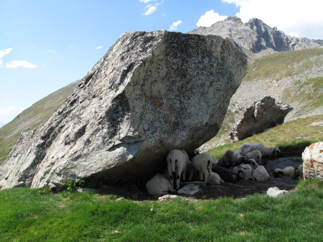 zwischen Wiwannihütte und Grieläger