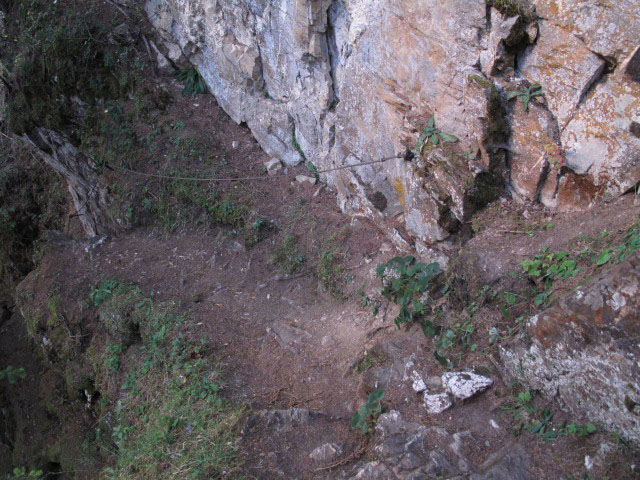Albinenleitern