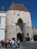 Wienertor