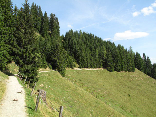 Weg 436 im Riedinggraben (4. Sep.)