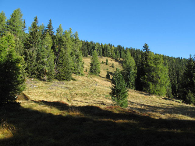 Pfunderer Höhenweg bei der Kreuzung mit Weg 66A und Weg 68 (1. Okt.)