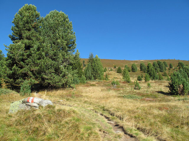 Pfunderer Höhenweg auf den Plattner Bergwiesen (1. Okt.)