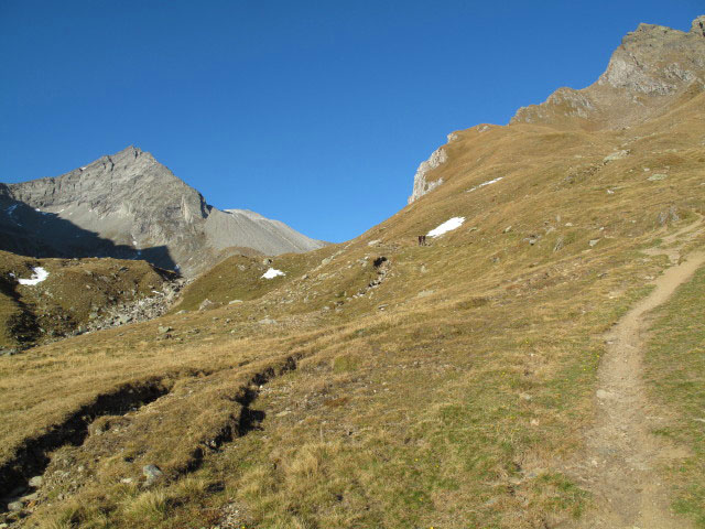 Pfunderer Höhenweg zwischen Eisbruggalm und Eisbruggsee (2. Okt.)