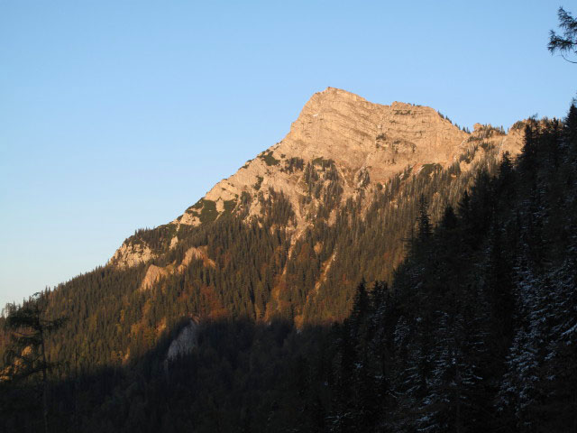 Gippel