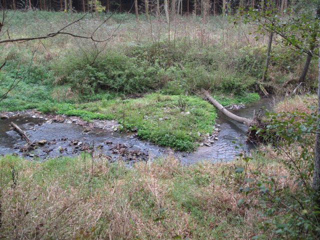 Thumeritzbach zwischen Hirschbergmühle und Drosendorf