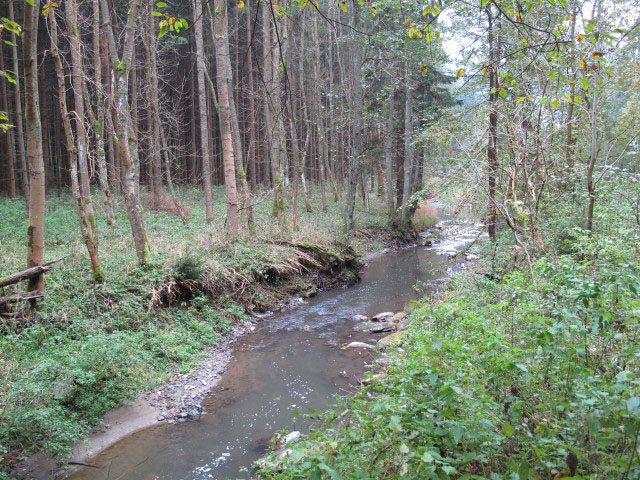 Thumeritzbach zwischen Hirschbergmühle und Drosendorf