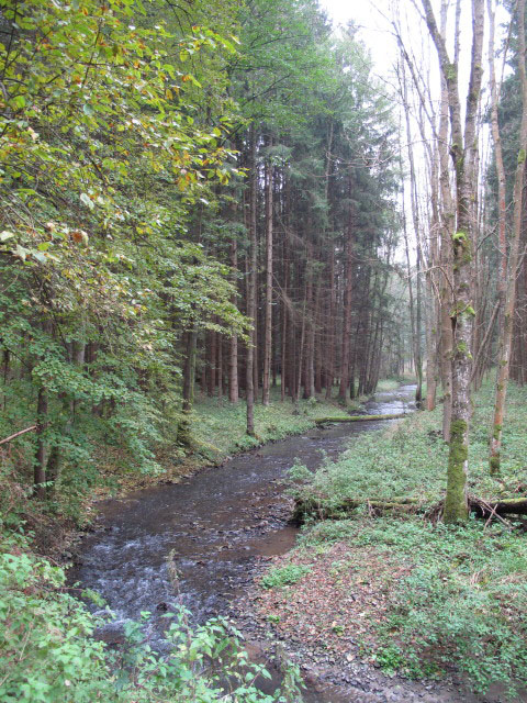 Thumeritzbach zwischen Hirschbergmühle und Drosendorf