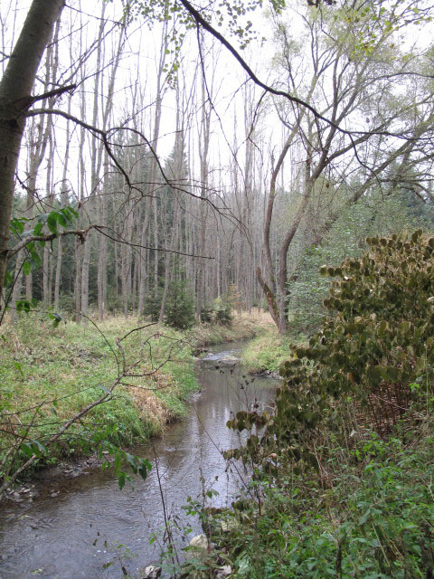 Thumeritzbach zwischen Hirschbergmühle und Drosendorf