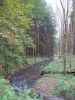 Thumeritzbach zwischen Hirschbergmühle und Drosendorf