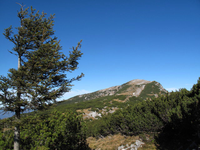 zwischen Sarsteinhütte und Hoher Sarstein