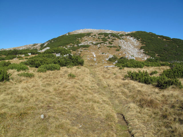 zwischen Sarsteinhütte und Hoher Sarstein