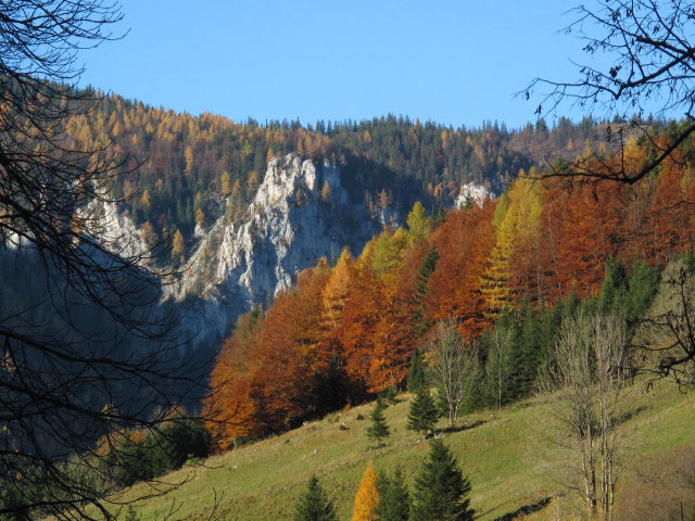 Hochturm von Hinternasswald aus