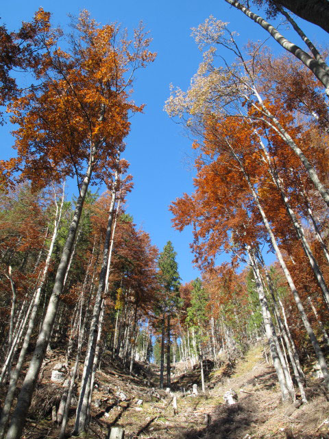Haselgraben
