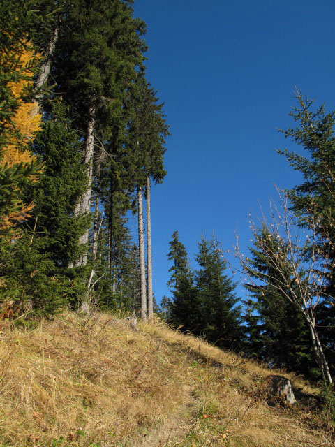 zwischen Großer Sonnleitstein und Amais-Wies-Hütte