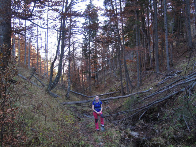 Janna zwischen Amais-Wies-Hütte und Loskögerl