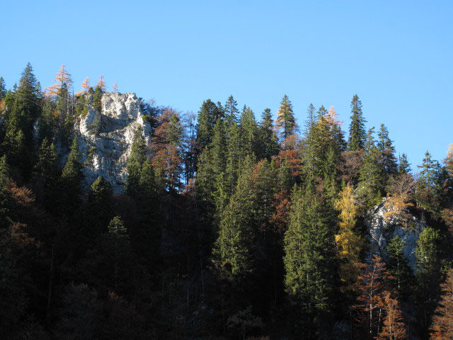 zwischen Amais-Wies-Hütte und Loskögerl