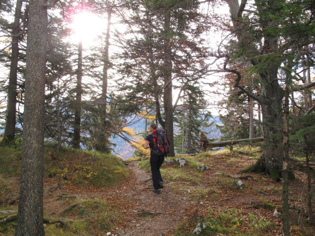 Sonja auf Weg 820 zwischen Weißenbach am Attersee und Schoberstein