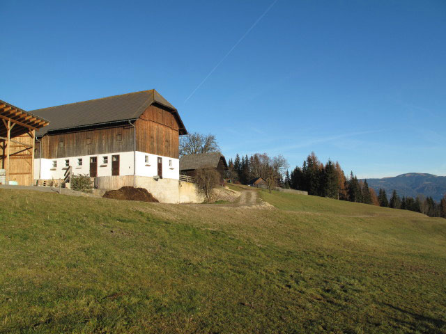 Lammer
