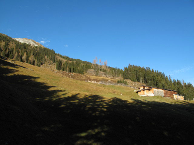 Reitlasten