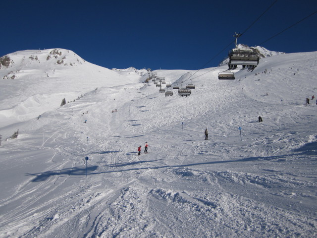 Arlenmähder (14. Jän.)