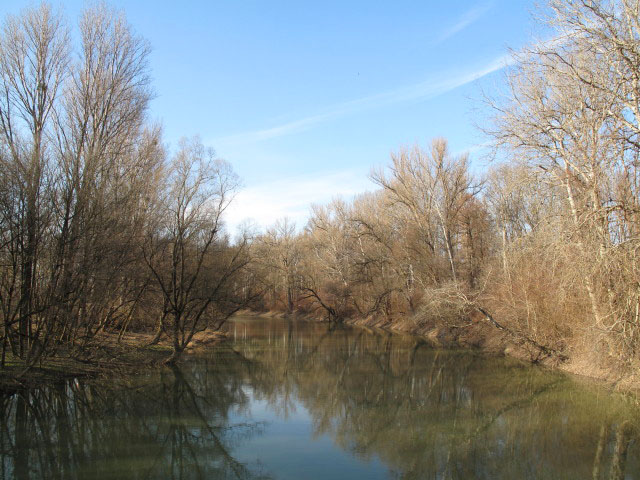 Rohrbach