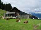Wipfelalm, 1.576 m