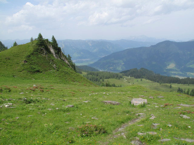 Erlhofalm