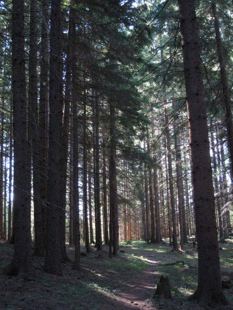 Kaisersteig