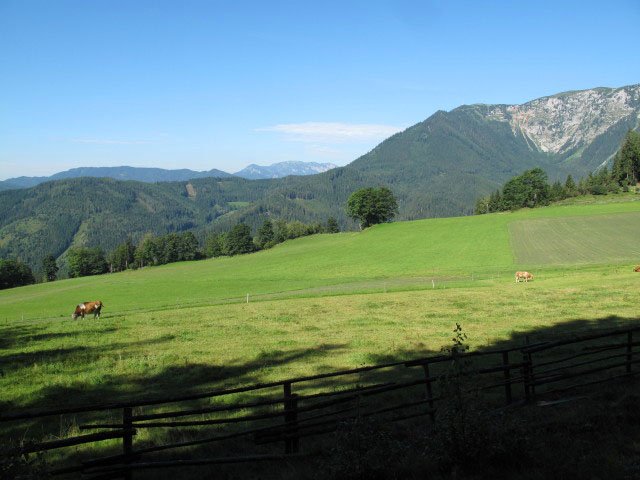 Karrer