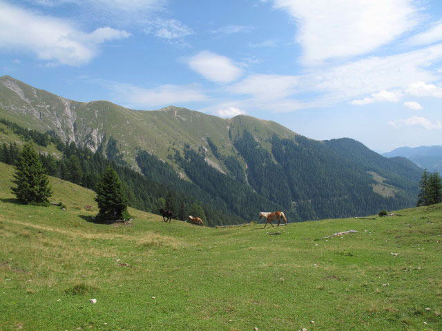Stosia, 1.819 m