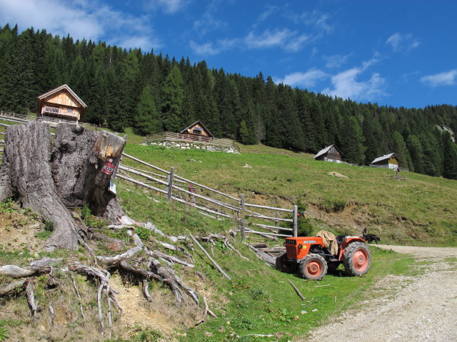 Görtschacher Alm, 1.629 m (15. Sep.)
