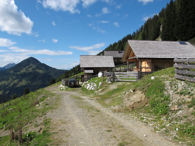 Kärntner Grenzweg auf der Görtschacher Alm (15. Sep.)
