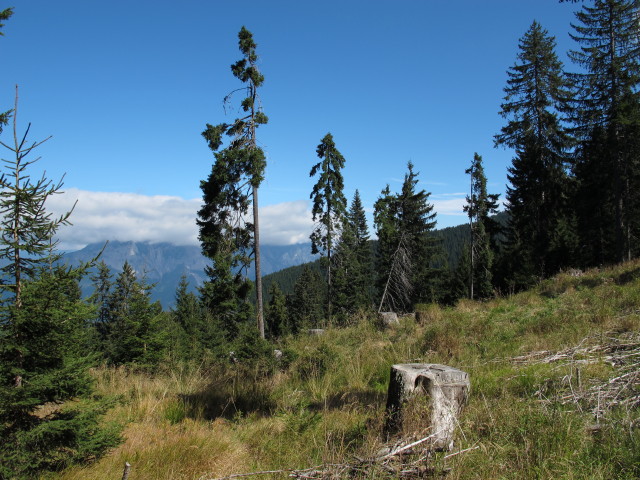 Kärntner Grenzweg zwischen Ochsenstand und Kapinberg (16. Sep.)