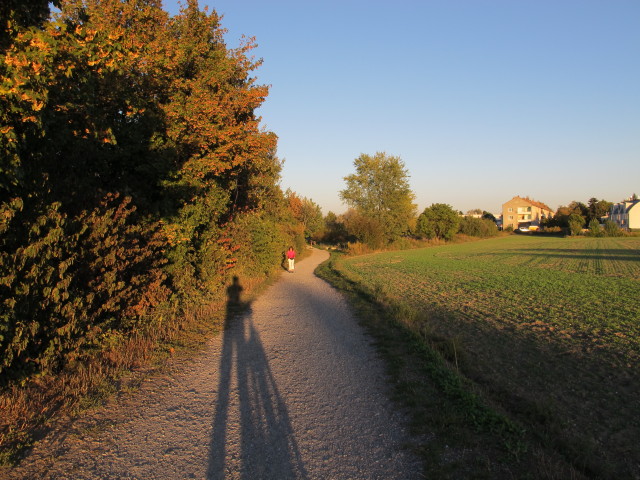 Marchfeldkanal-Radweg in Groß-Jedlersdorf