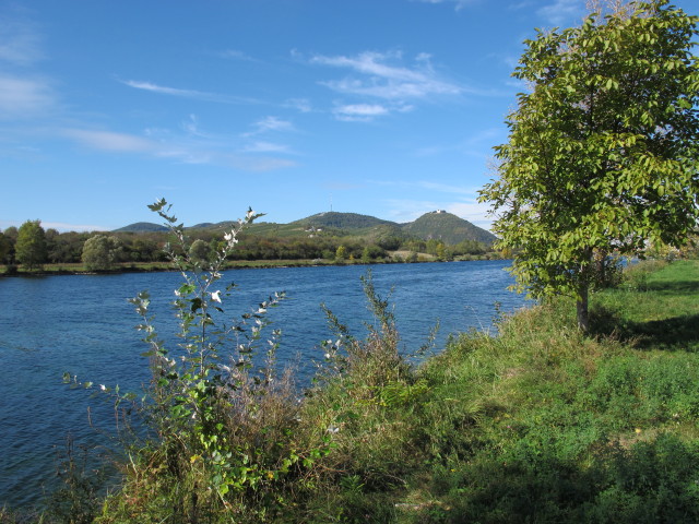 Neue Donau zwischen Nordbrücke und Jedleseer Brücke