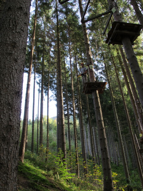 Ich im Parcours 'Eichhörnchen' im Kletterwald Buchenberg