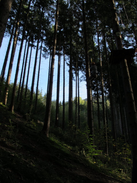 Ich im Parcours 'Eichhörnchen' im Kletterwald Buchenberg