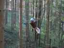 Walter im Parcours 'Wiesel' im Kletterwald Buchenberg