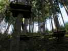 Ich im Parcours 'Eichhörnchen' im Kletterwald Buchenberg
