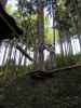 Ich im Parcours 'Eichhörnchen' im Kletterwald Buchenberg