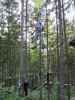 Ich im Parcours 'Eichhörnchen' im Kletterwald Buchenberg