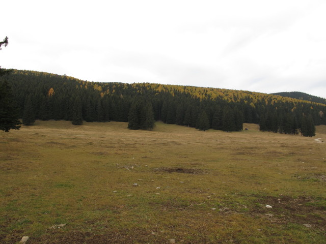 Bodenwiese