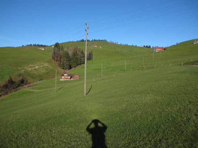Himmelberg