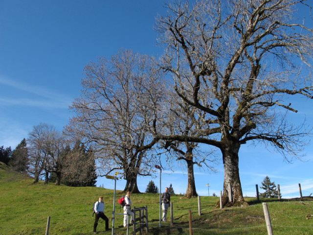 Alexander, Romy und Carmen auf der Ochsenhöhi, 1.209 m