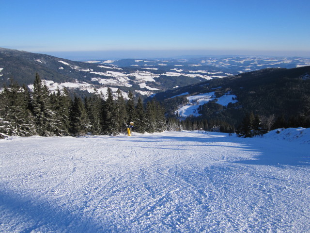 FIS-Abfahrt