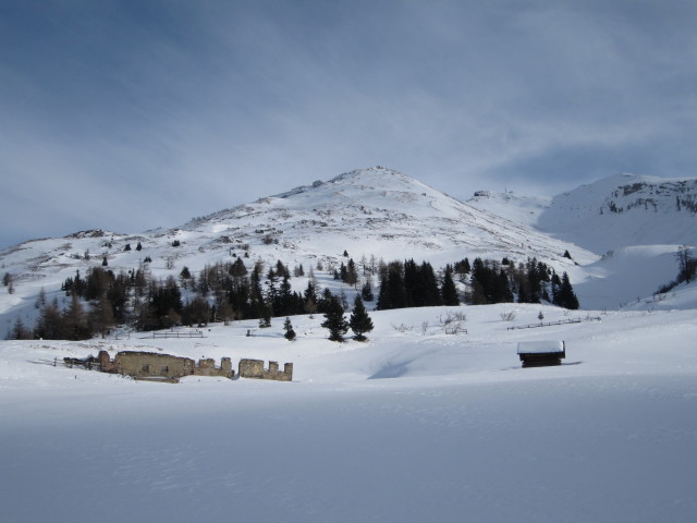 Leitneralm