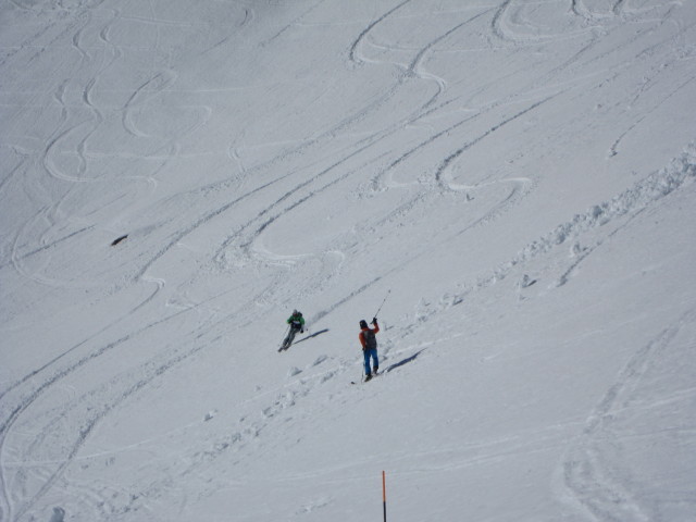 neben der Schilthornpiste (4. März)