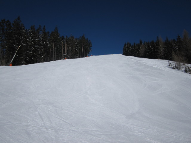 Bodenbauerhang